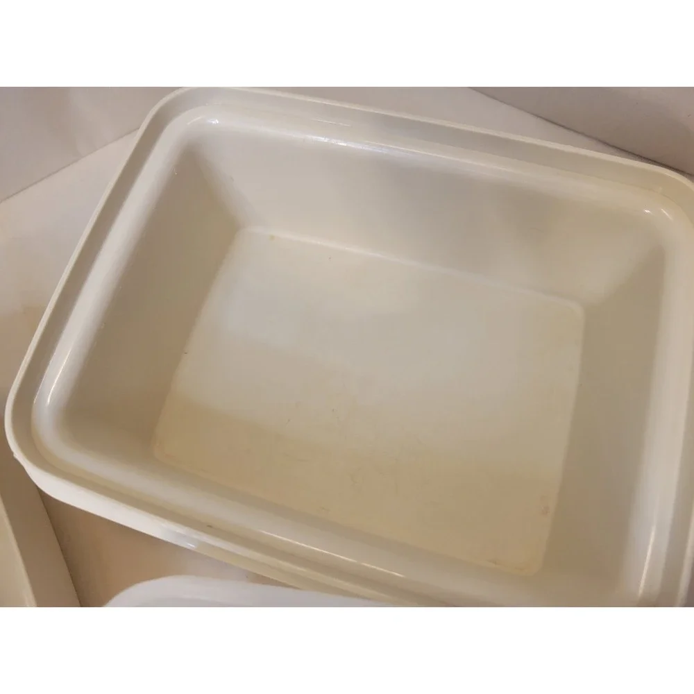 Tupperware Freeze N Save Ice Cream Keeper Set 2 Beige Rectangular Containers
